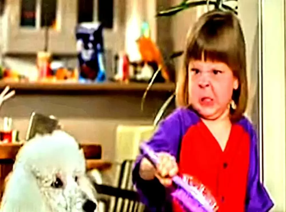 ベイビー・トーク 3 ワンダフルファミリーの画像