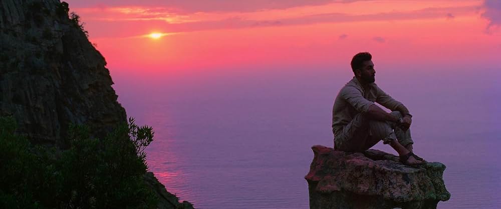 Tamasha（原題）の画像