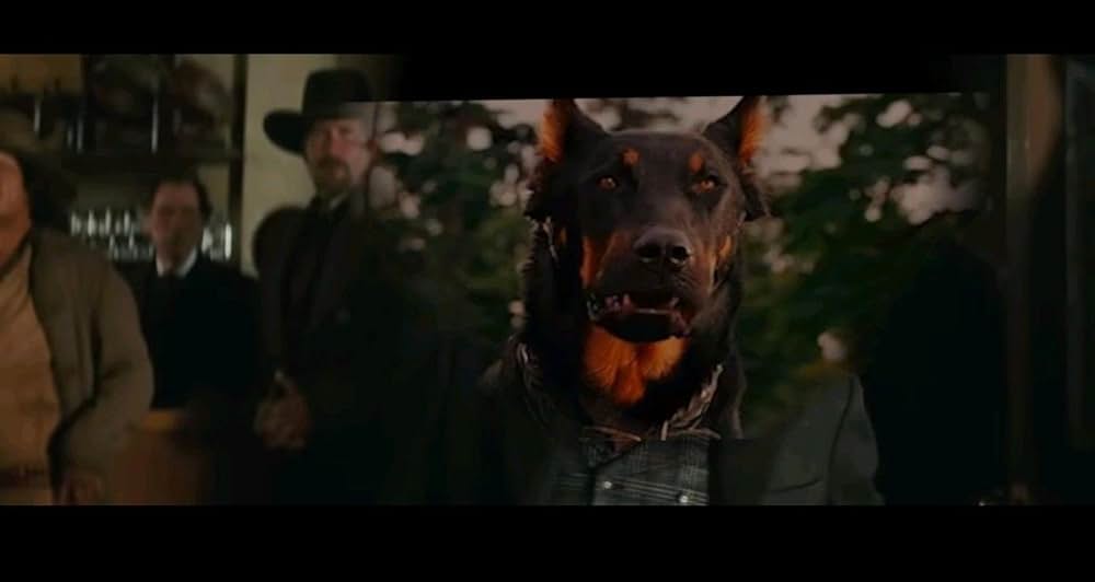 アパルーサの決闘の画像