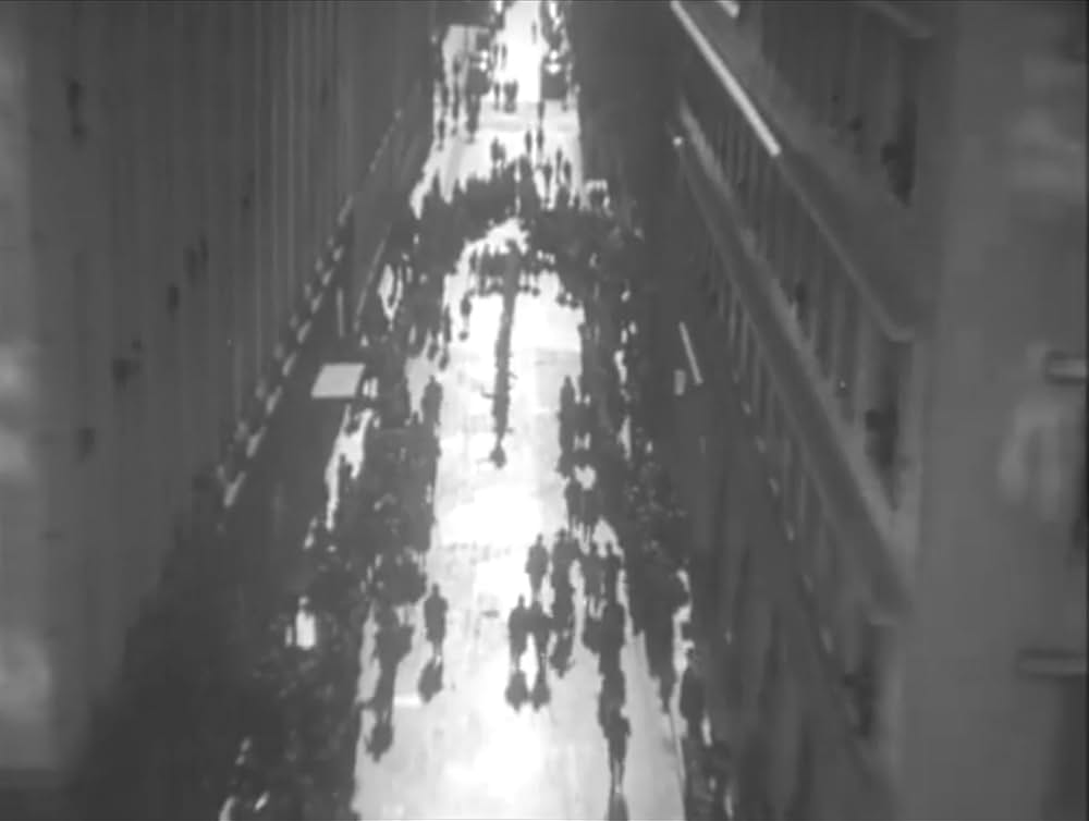 ロッパの新婚旅行の画像