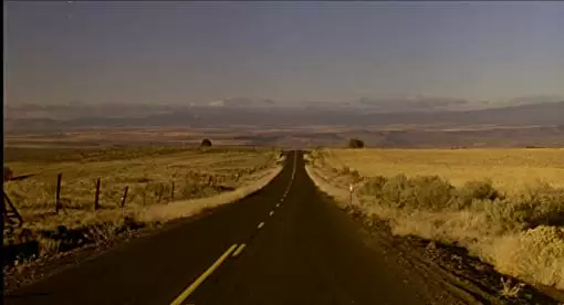 「マイ・プライベート・アイダホ」の画像