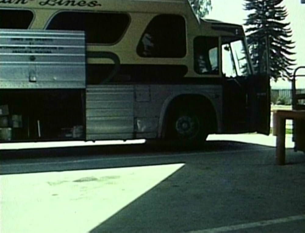 イッツ・インポッシブル・トゥ・ラーン・トゥ・プラウ・バイ・リーディング・ブックスの画像