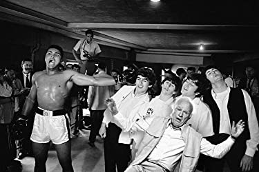 100歳の華麗なる冒険の画像