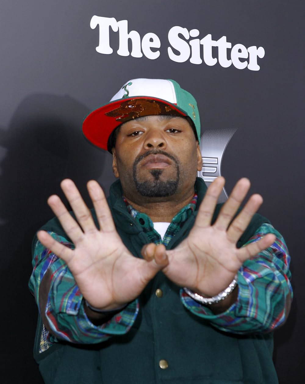 ピンチ・シッターの画像