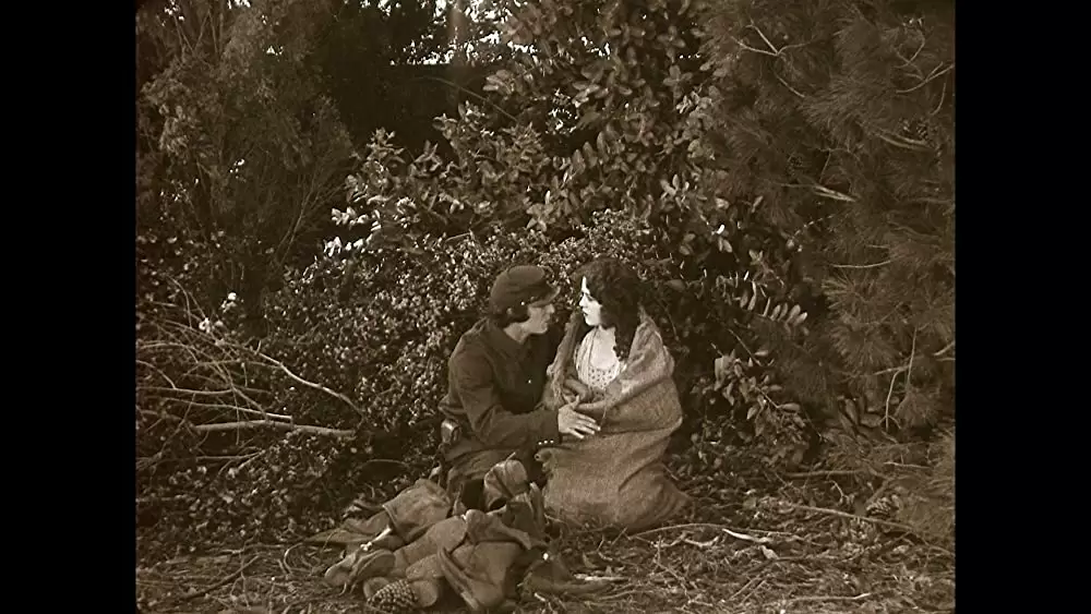 キートンの大列車追跡／キートン将軍／キートンの大列車強盗の画像