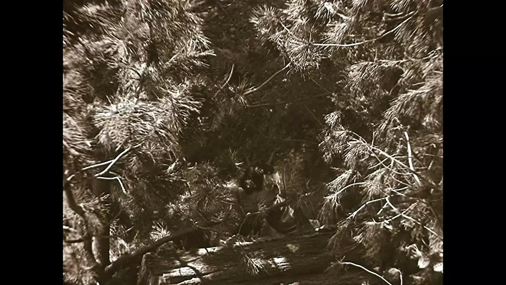 キートンの大列車追跡／キートン将軍／キートンの大列車強盗の画像