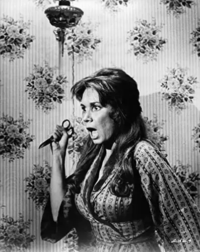 「荒野のストレンジャー」バーナ・ブルームの画像