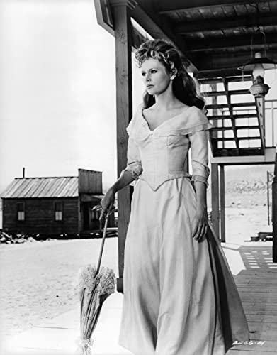 荒野のストレンジャーの画像