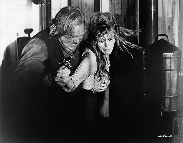 「荒野のストレンジャー」ウォルター・バーンズ & マリアンナ・ヒルの画像