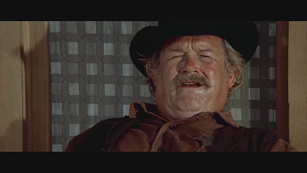 荒野のストレンジャーの画像