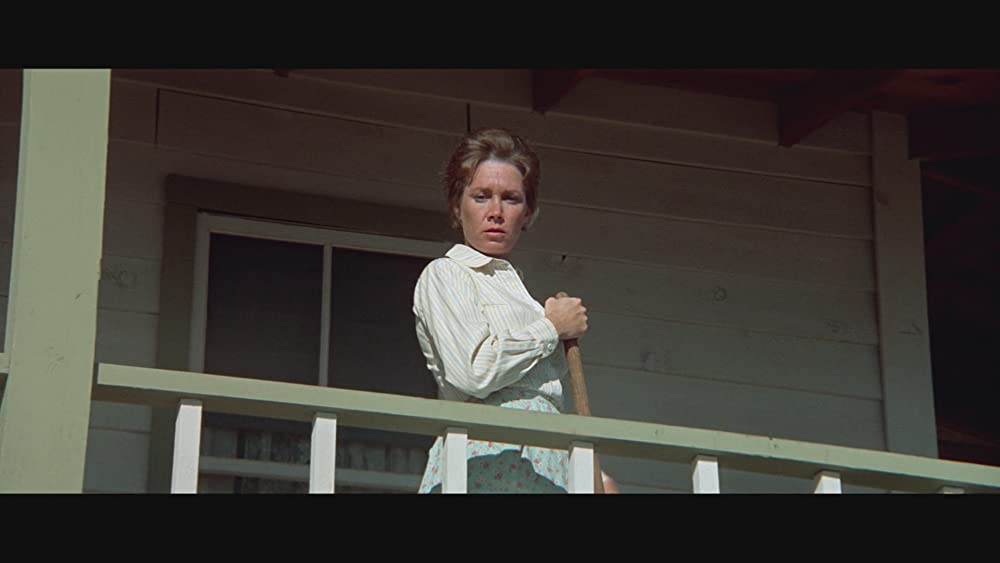 荒野のストレンジャーの画像