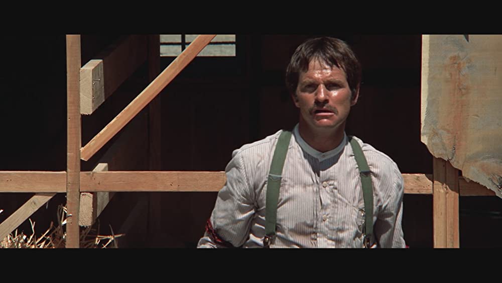 荒野のストレンジャーの画像