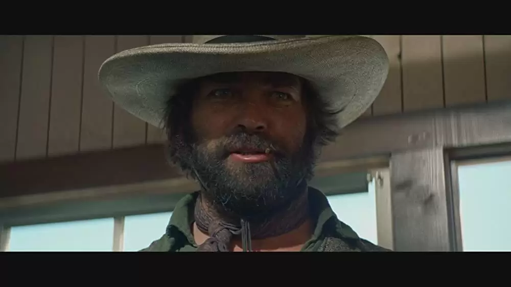 荒野のストレンジャーの画像