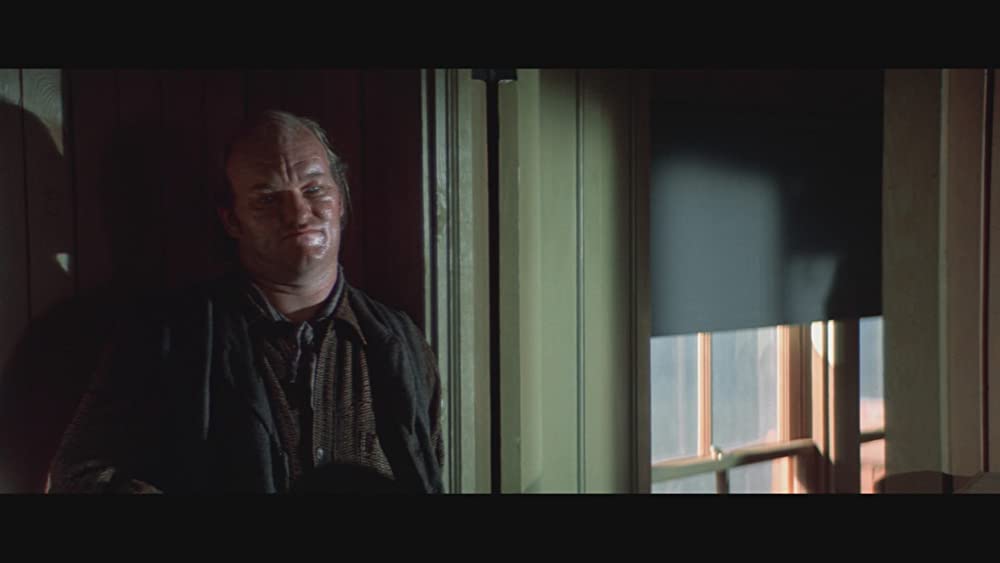 荒野のストレンジャーの画像