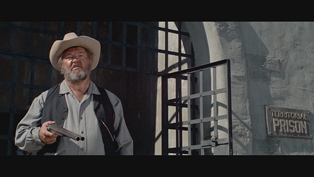 荒野のストレンジャーの画像