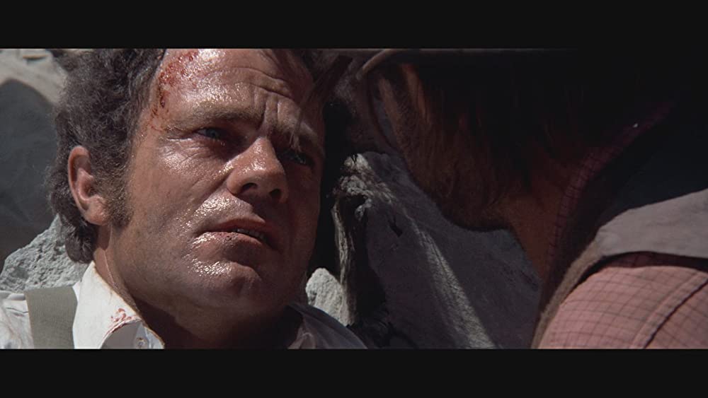 荒野のストレンジャーの画像