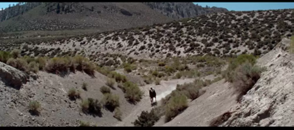 荒野のストレンジャーの画像