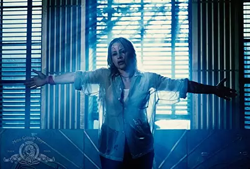 スティグマータ／聖痕の画像