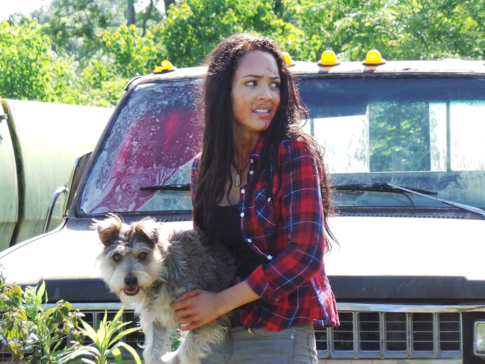 ハウンドの画像