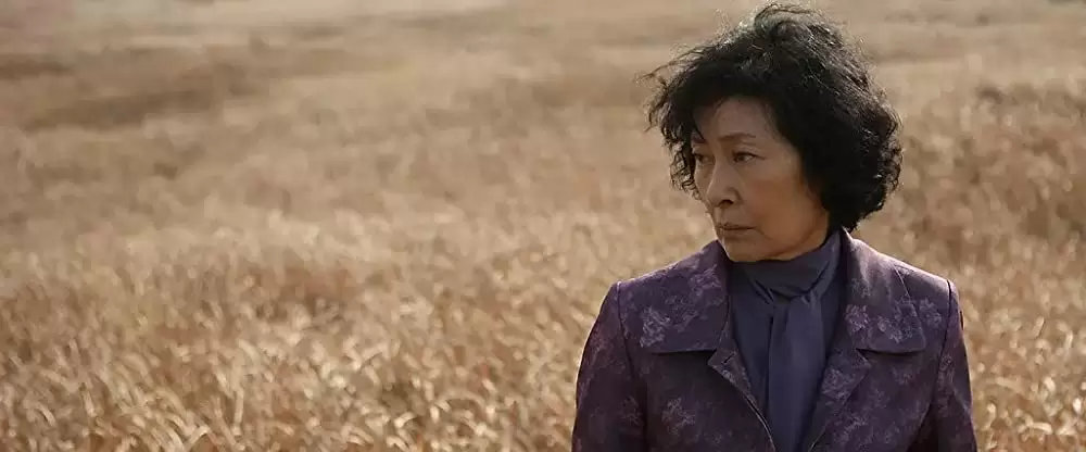 母なる証明の画像