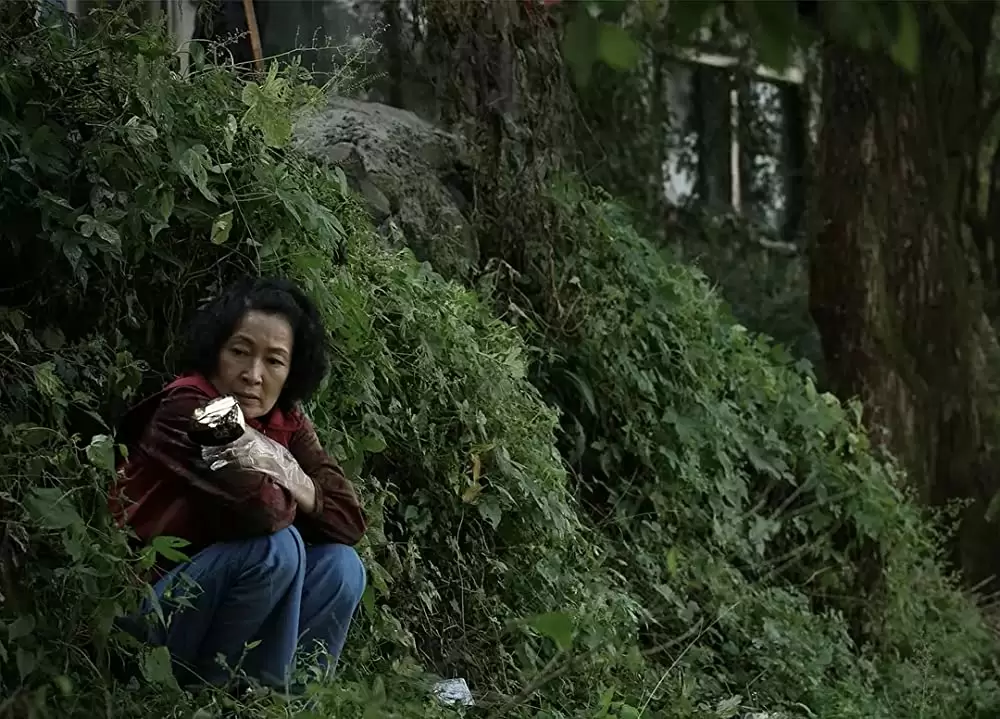 母なる証明の画像