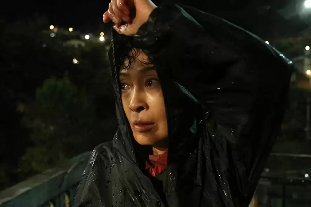 母なる証明の画像