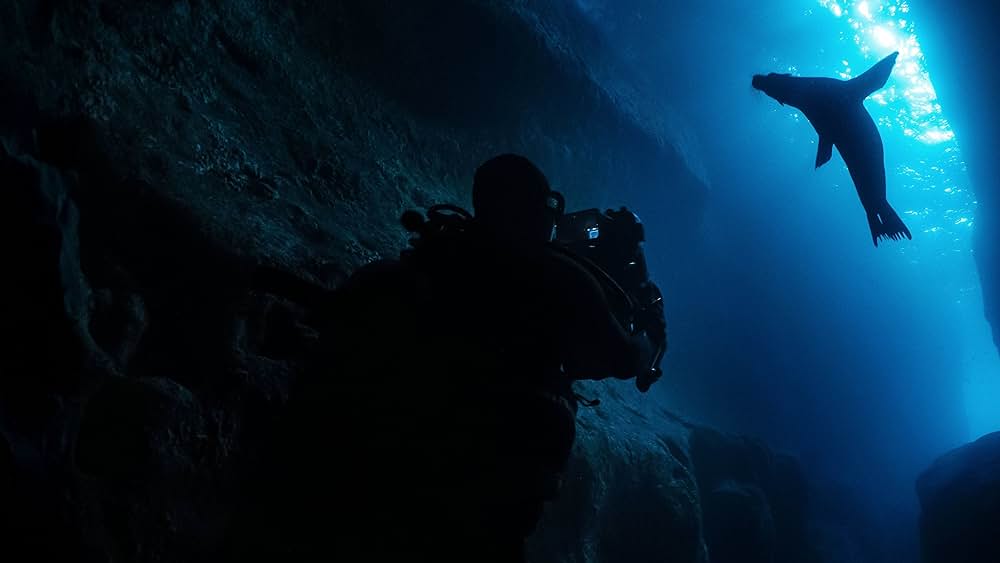 メイキング映像 ～ガラパゴス諸島のアシカたち～の画像
