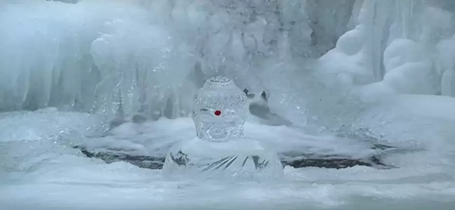 春夏秋冬そして春の画像