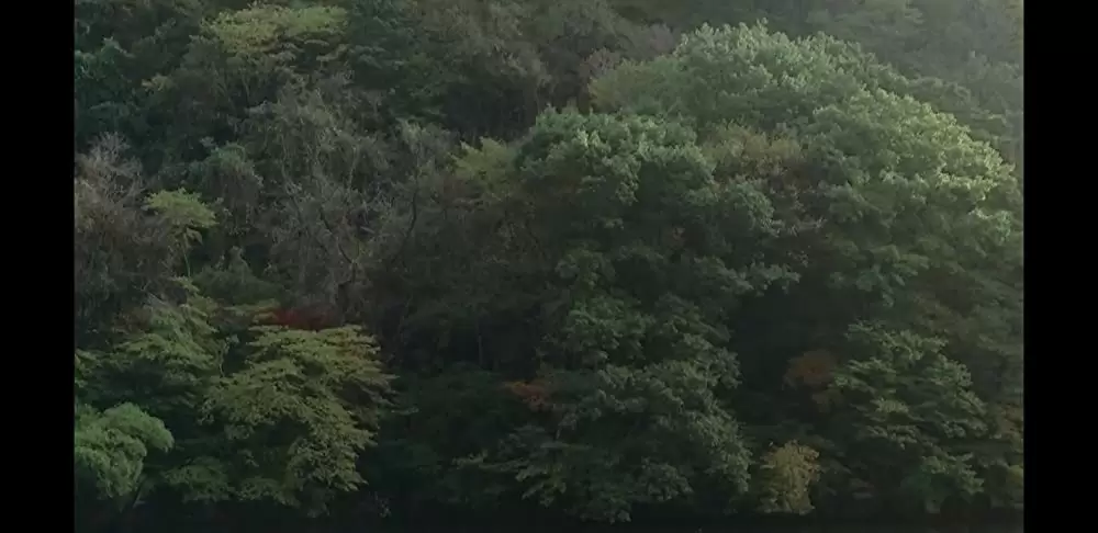 春夏秋冬そして春の画像