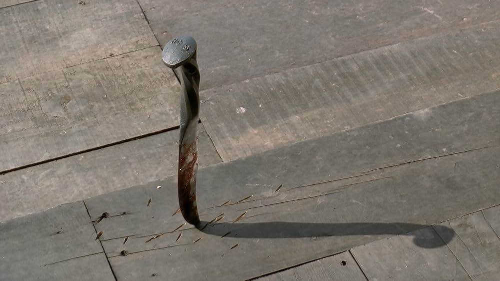 春夏秋冬そして春の画像