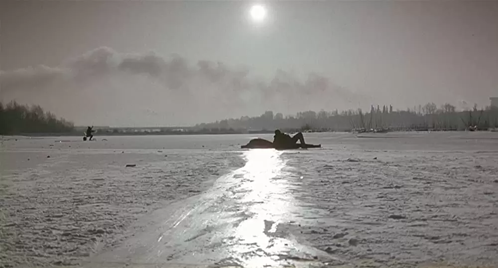 トリコロール／白の愛の画像