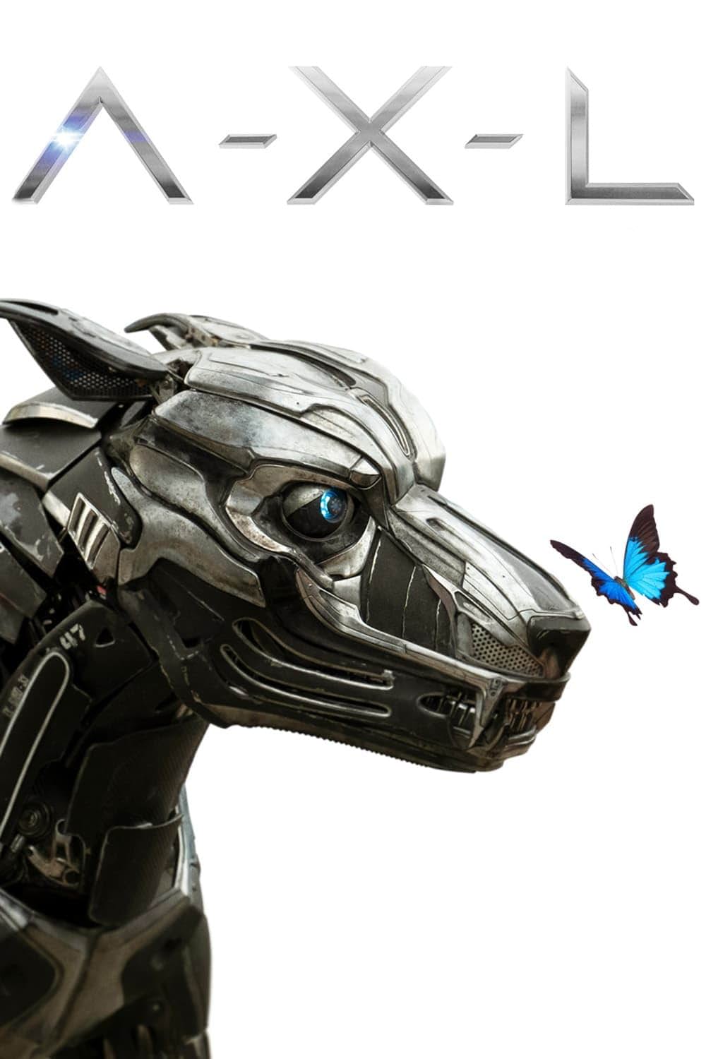 A-X-L アクセルの画像