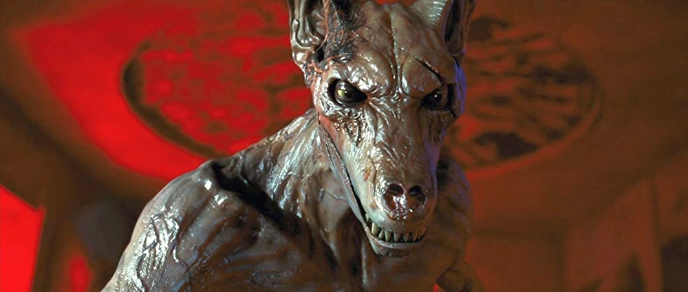 ピラミッドの呪いの画像