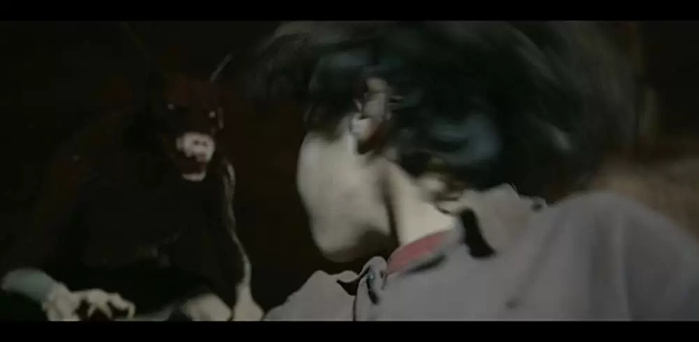 ピラミッドの呪いの画像