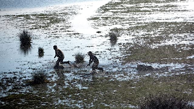 マーシュランドの画像