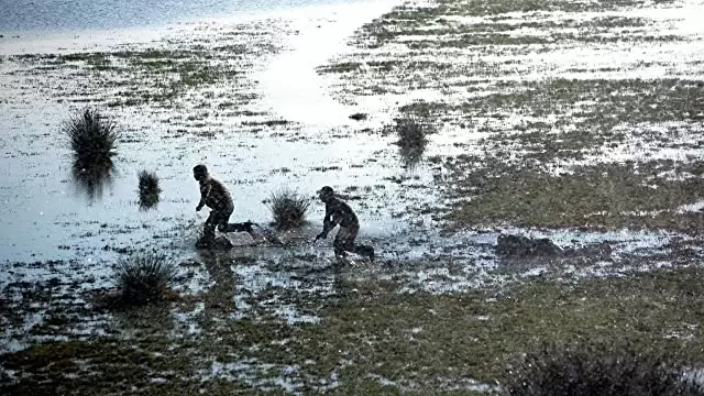 マーシュランドの画像