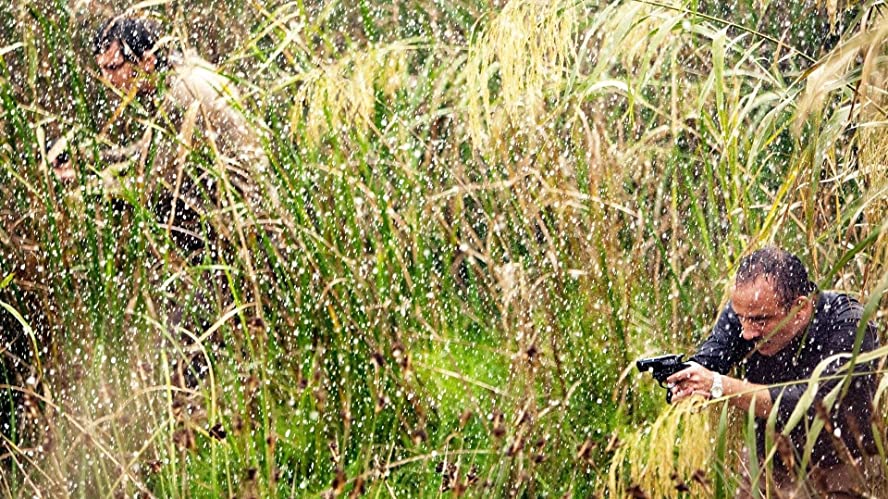 マーシュランドの画像