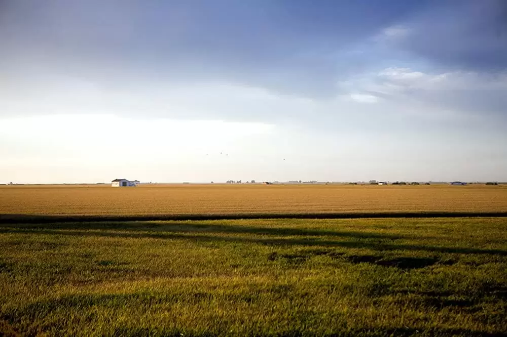 マーシュランドの画像