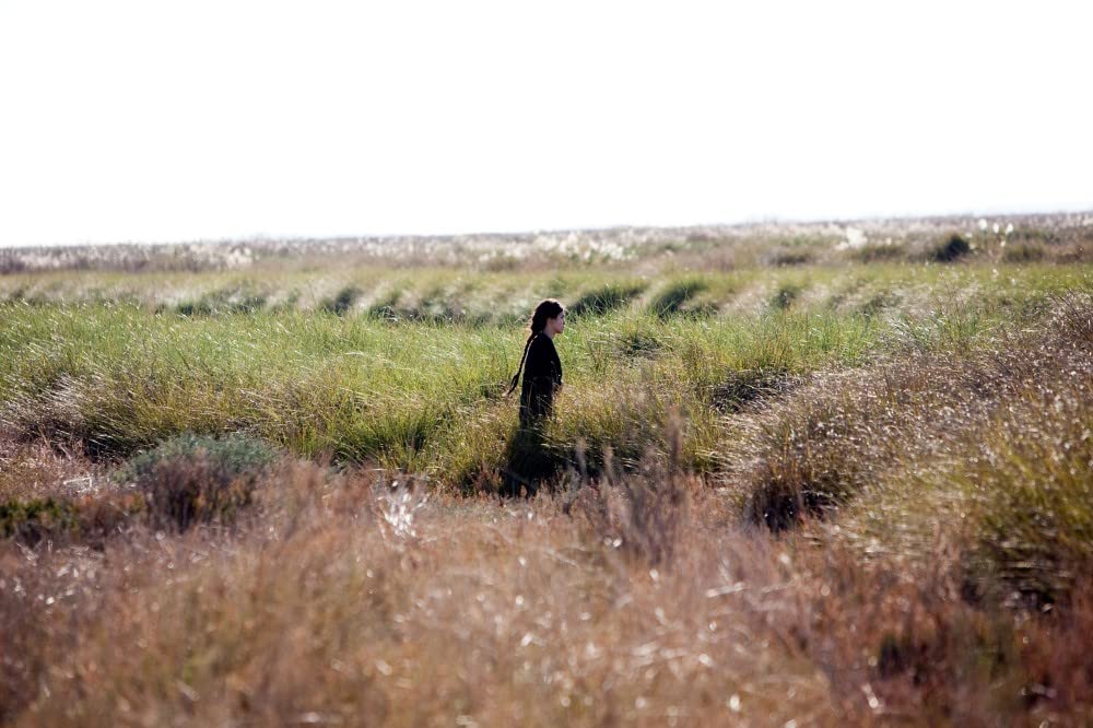 マーシュランドの画像
