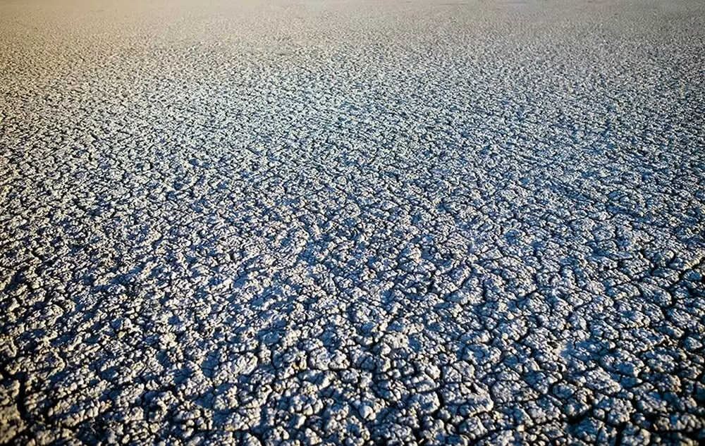 マーシュランドの画像