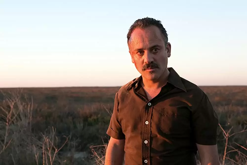 マーシュランドの画像