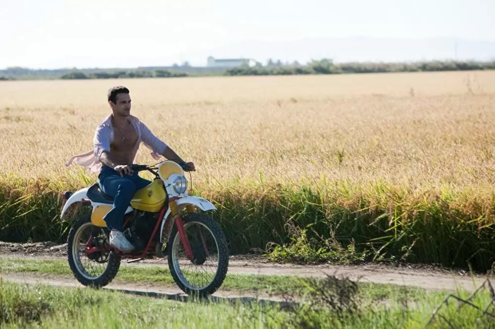 マーシュランドの画像