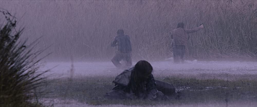 マーシュランドの画像