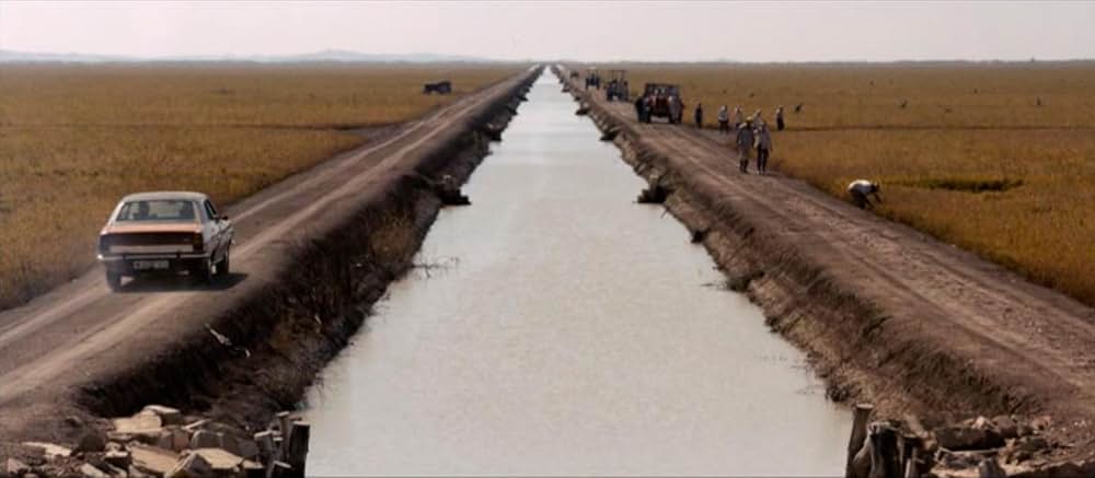 マーシュランドの画像