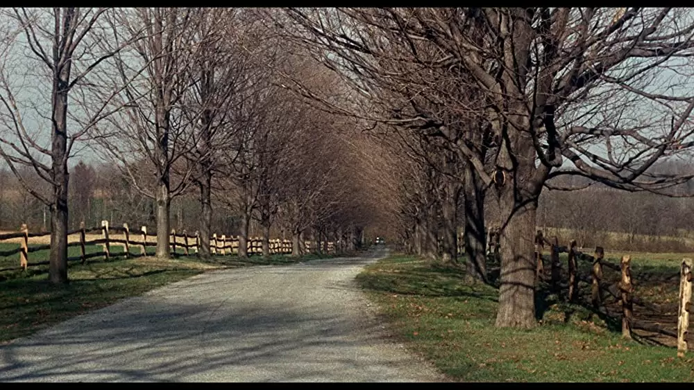 マーニーの画像