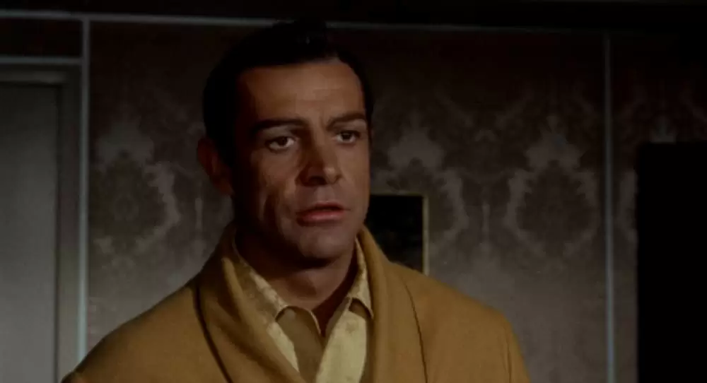 マーニーの画像