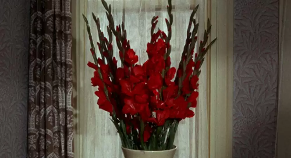 マーニーの画像