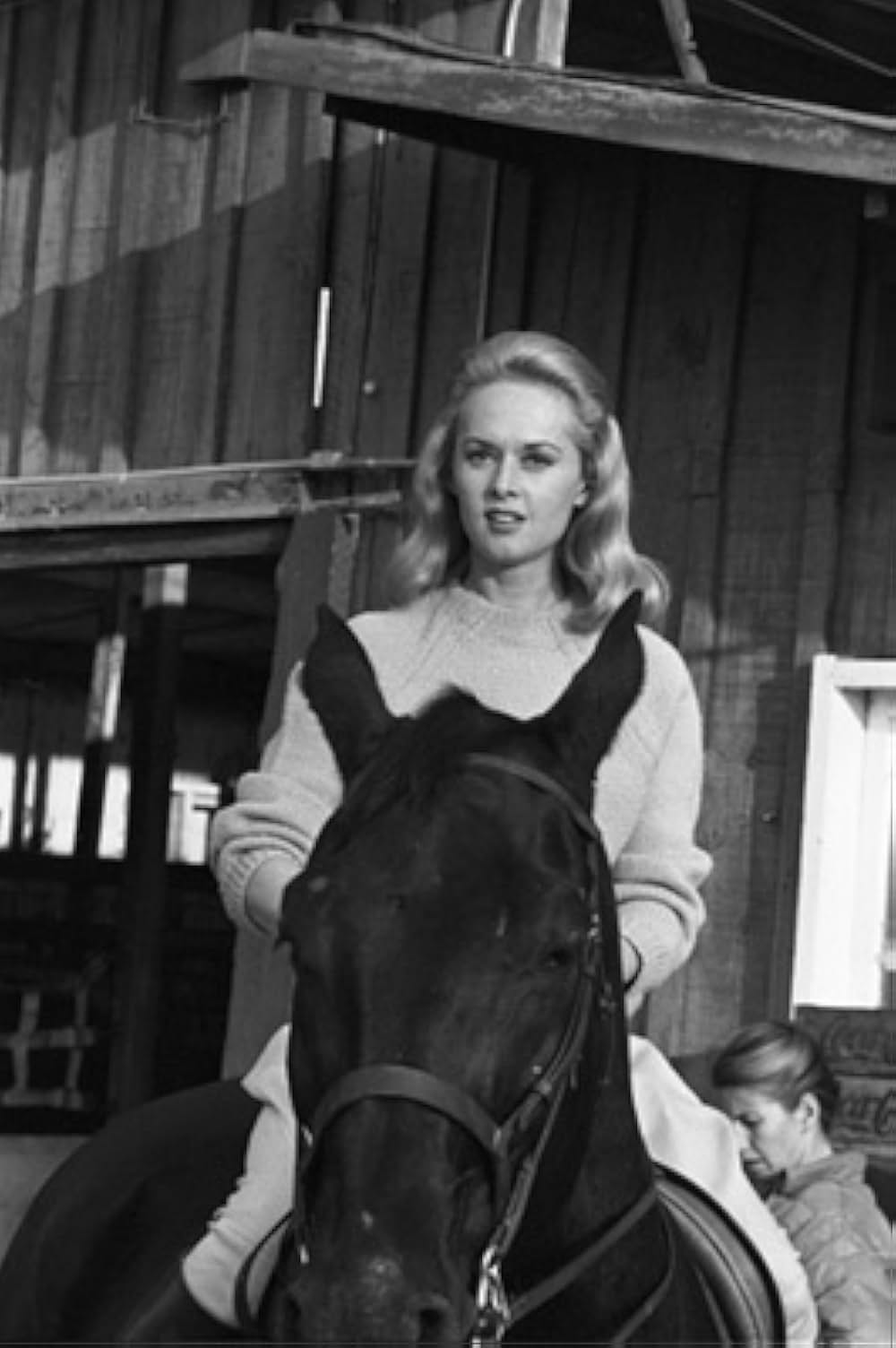 マーニーの画像