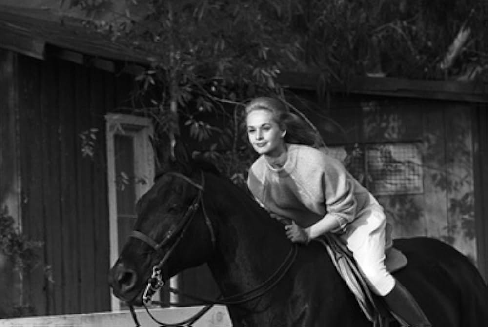 マーニーの画像