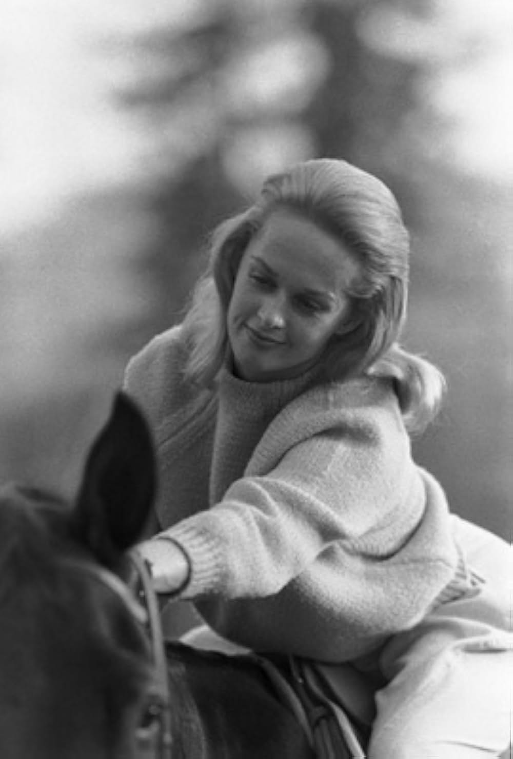 マーニーの画像